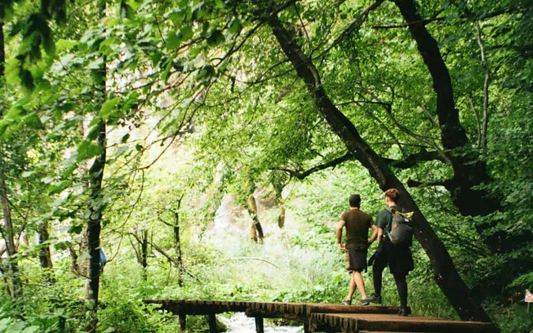 Trails of the Plitvice Lakes National Park